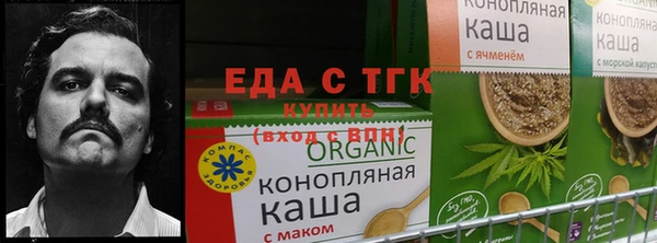 хмурый Каменногорск