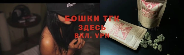 молекула духа Карпинск