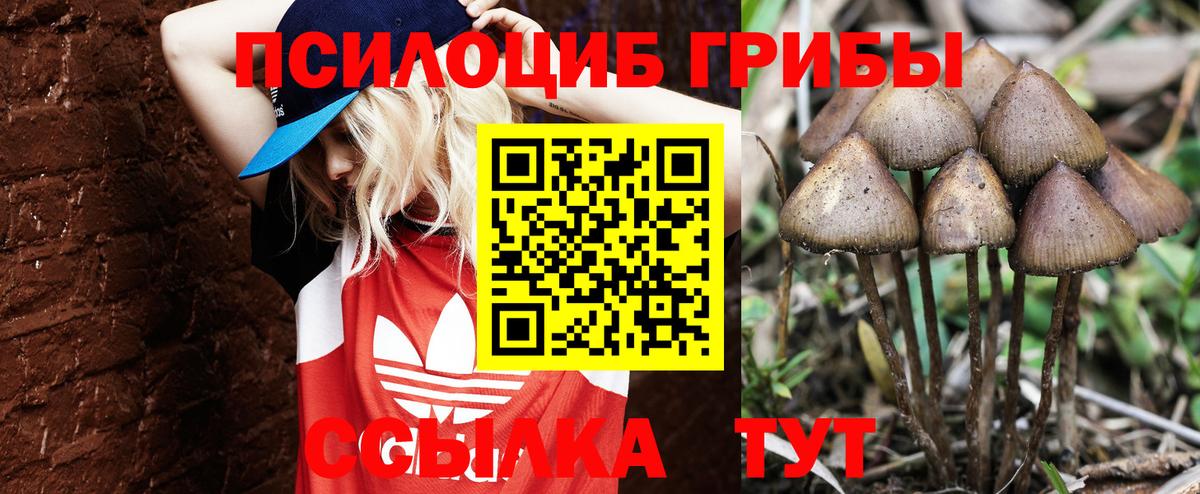 Галлюциногенные грибы MAGIC MUSHROOMS  Вход с VPN  Кыштым 