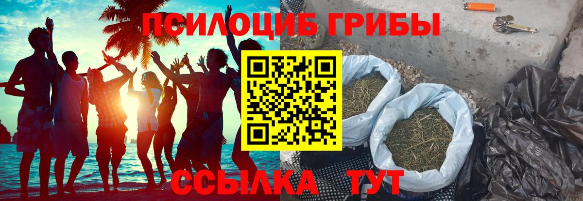 Галлюциногенные грибы MAGIC MUSHROOMS Кыштым